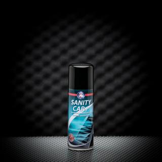 Synt Sanity Car